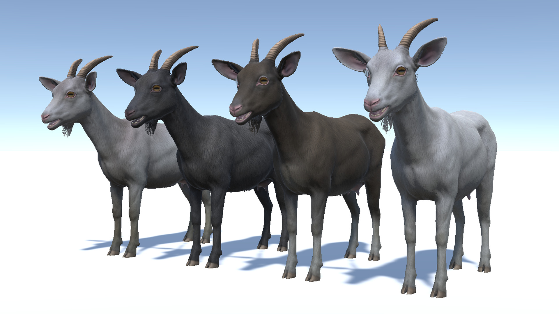 Goat - Female Low-poly 3D model_7