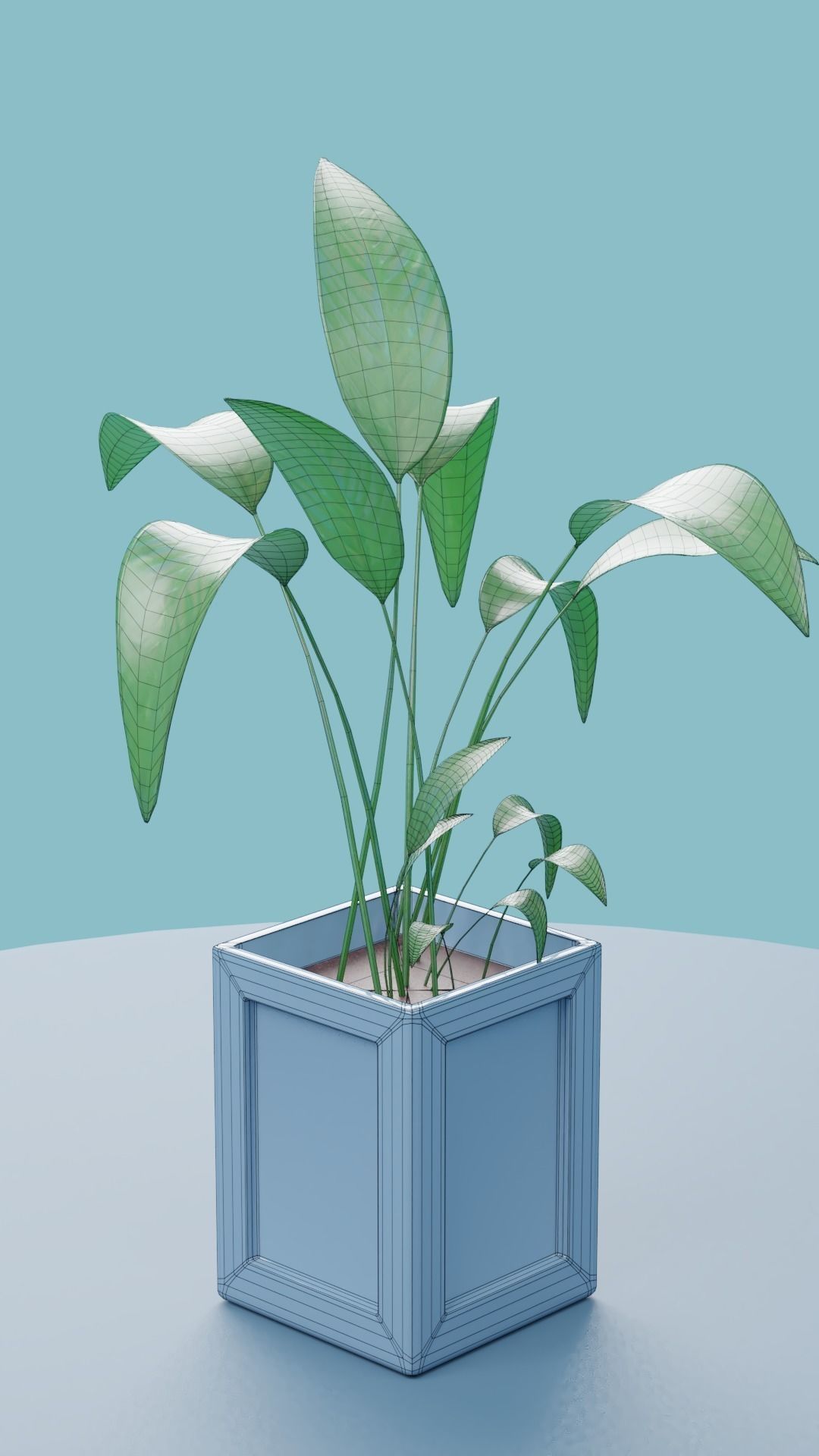 Plants Collection DEMO Free low-poly 3D model_10