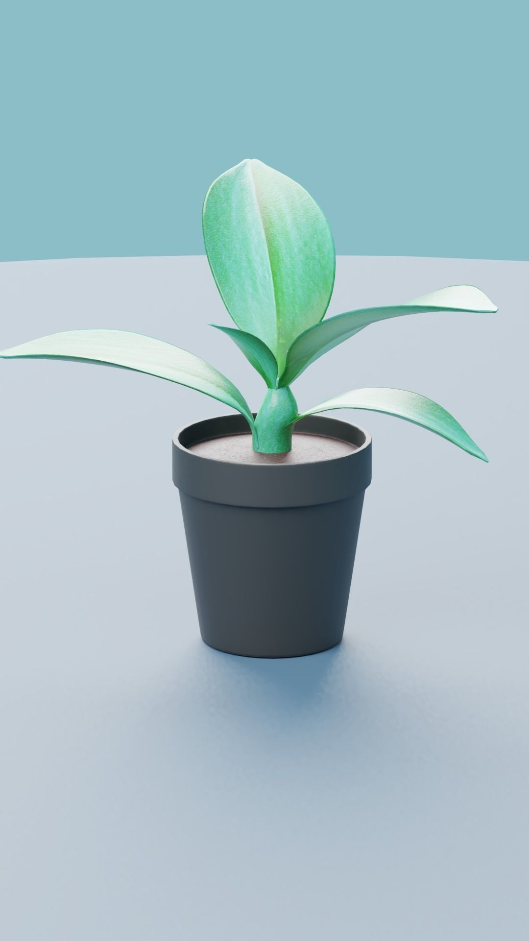 Plants Collection DEMO Free low-poly 3D model_7