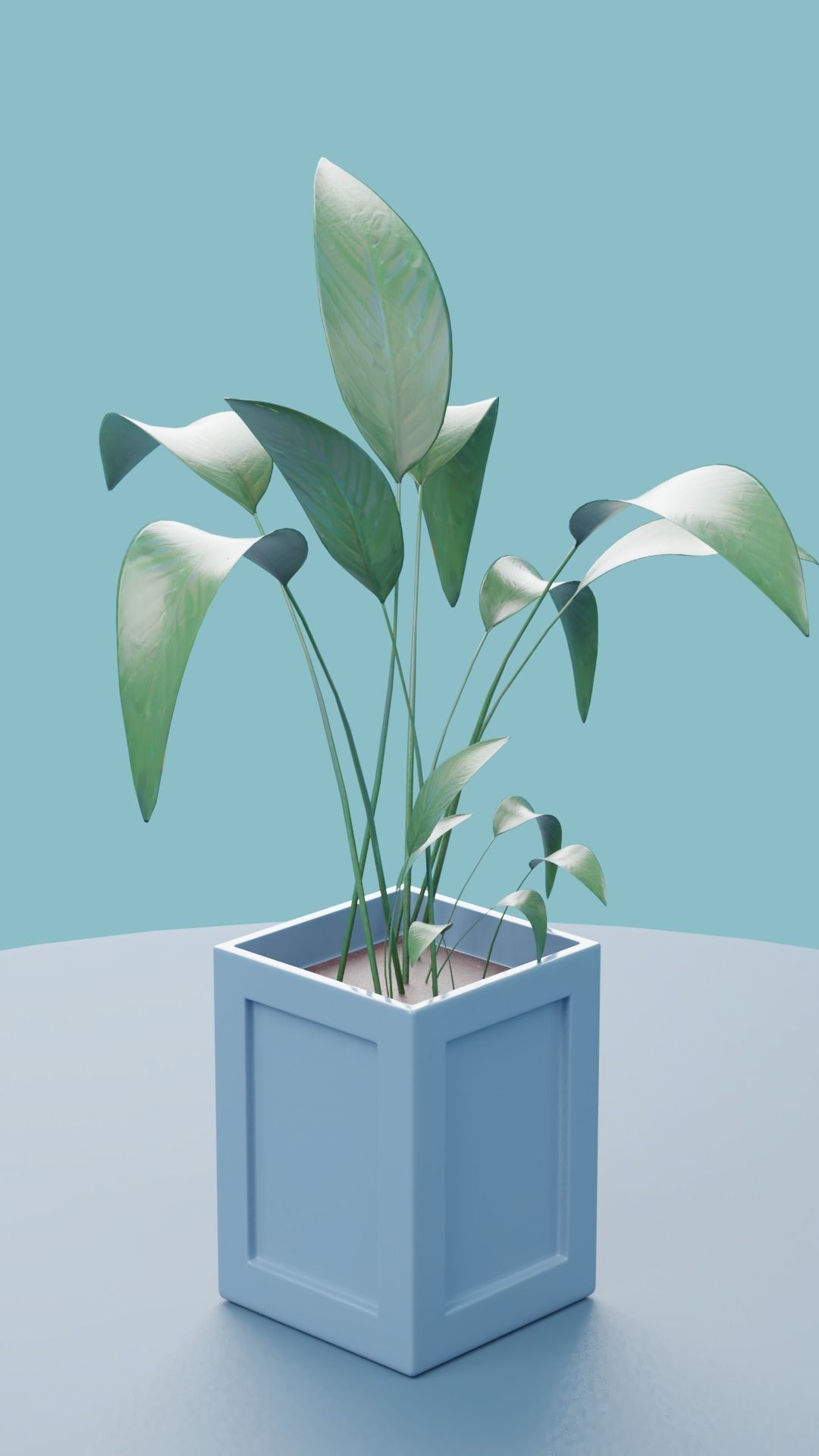 Plants Collection DEMO Free low-poly 3D model_9