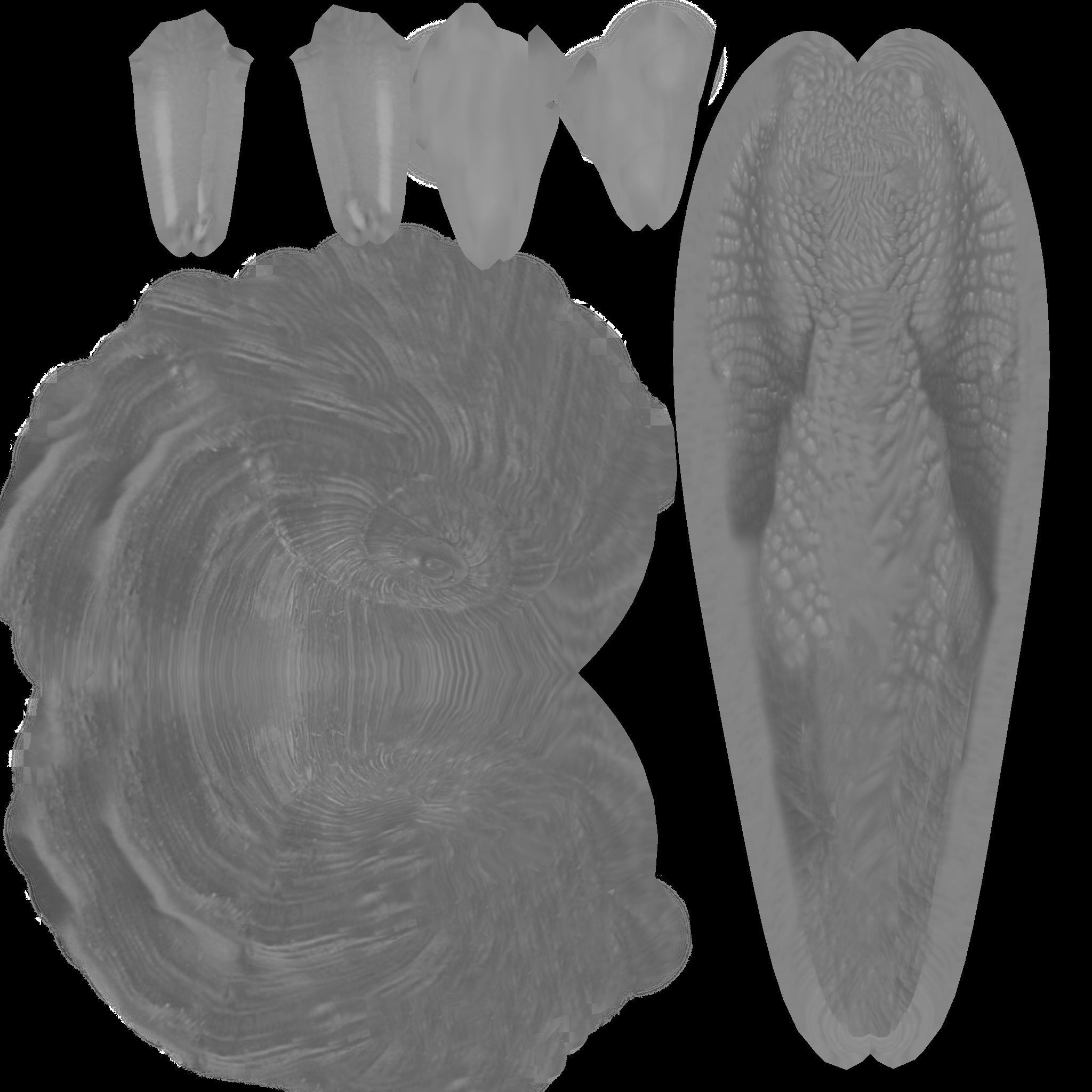 Snail Animated and Rigged Low-poly 3D model_8