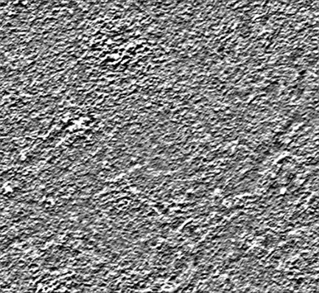 Medieval Tower Low-poly 3D model_5