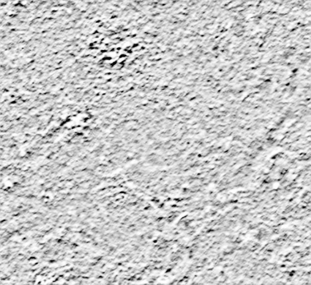 Medieval Tower Low-poly 3D model_6