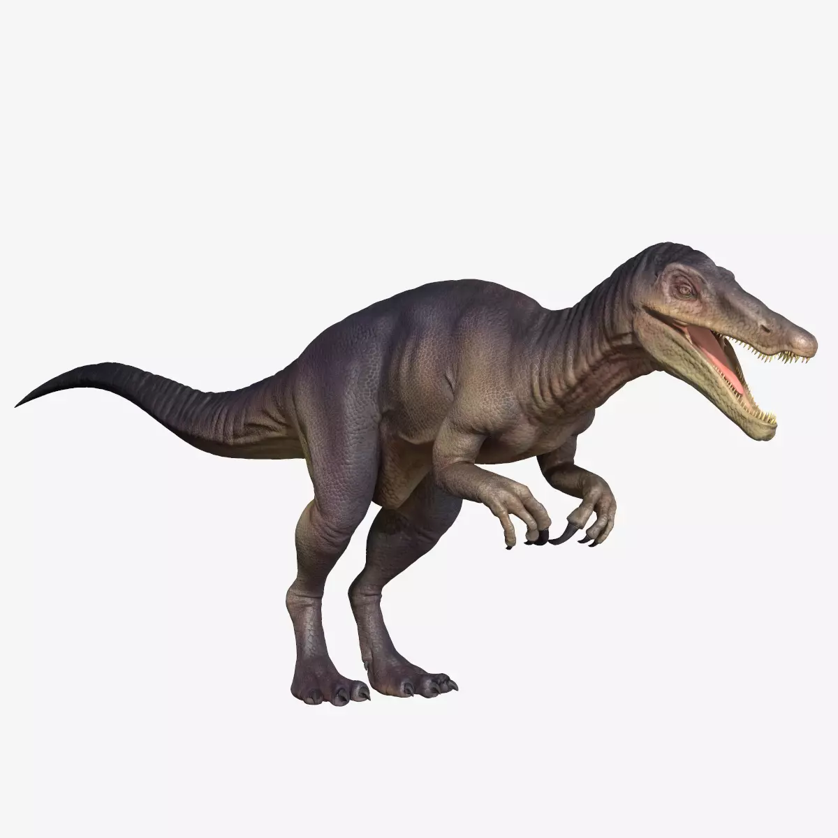 Baryonyx dinosaur Low-poly 3D model