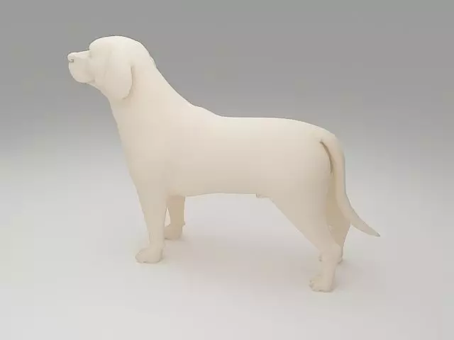 Labrador Retriever 3D print model_0