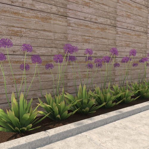 decorative onions 3D model