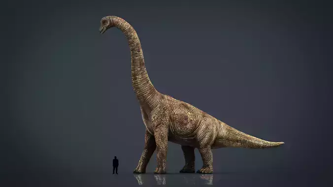 Brachiosaurus dinosaur Low-poly 3D model