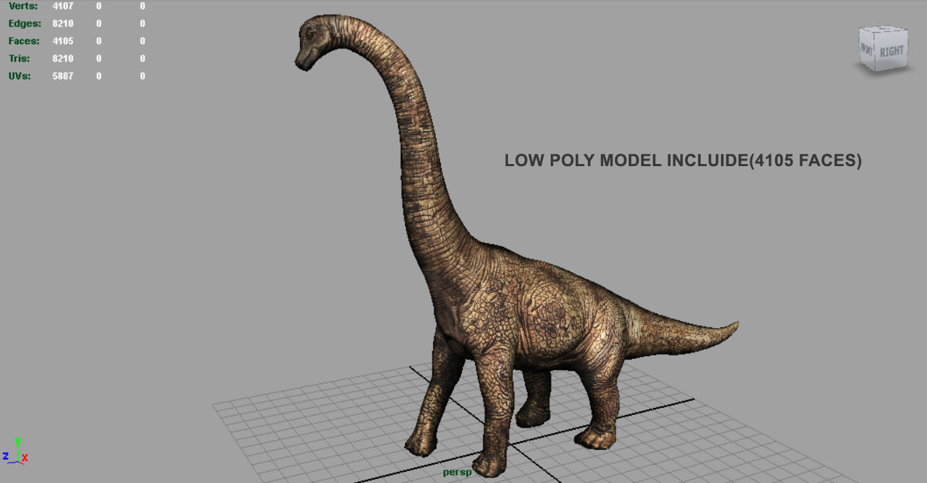 Brachiosaurus dinosaur Low-poly 3D model_5
