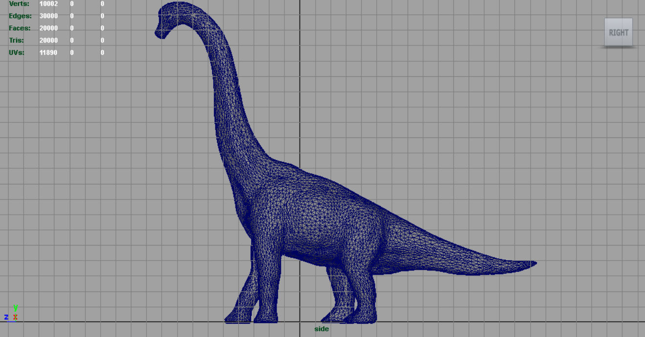 Brachiosaurus dinosaur Low-poly 3D model_9