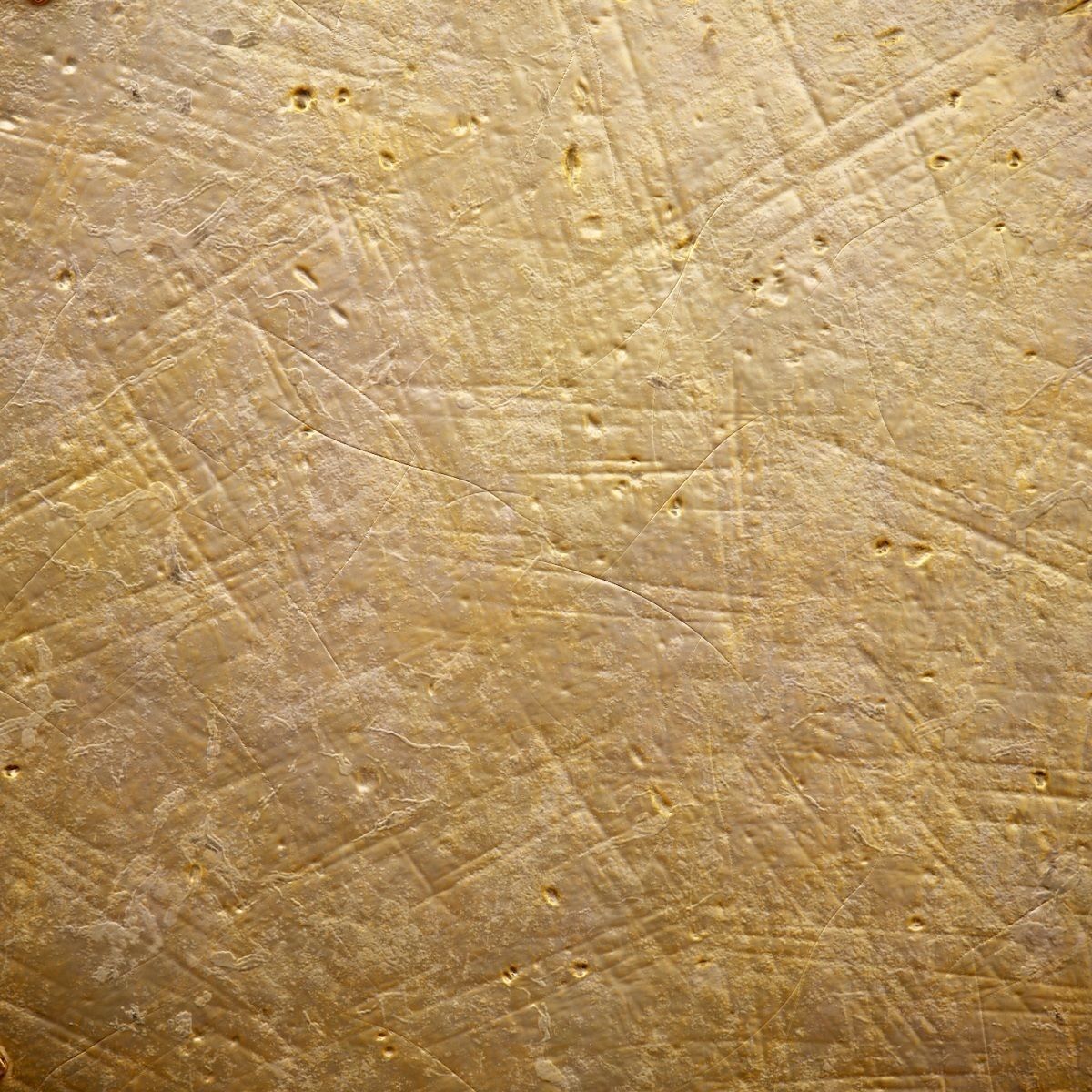 Old Coin with Empty Space - PBR Game-Ready Low-poly 3D model_4