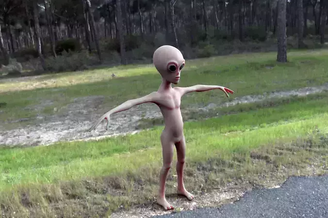 alien on side of road