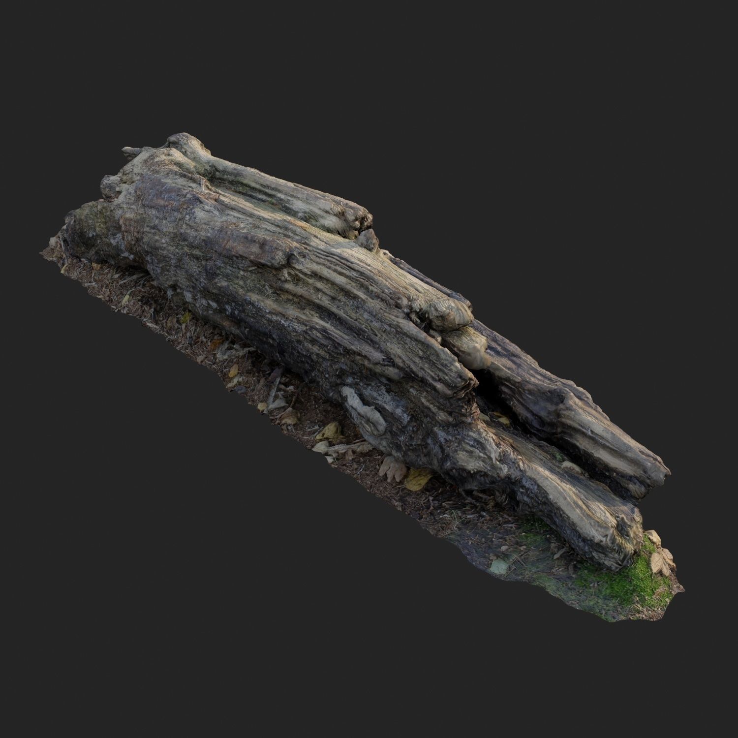 3d scanned nature forest stuff 009 Low-poly 3D model_2