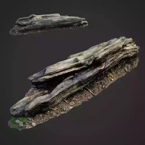 3d scanned nature forest stuff 009
