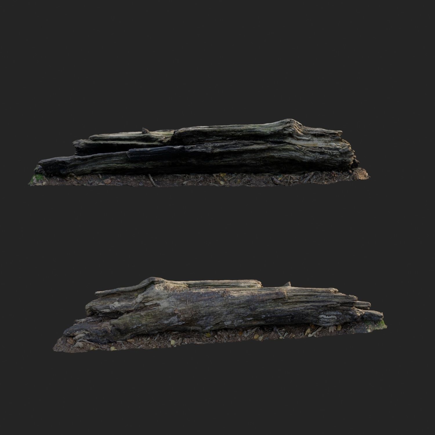 3d scanned nature forest stuff 009 Low-poly 3D model_1