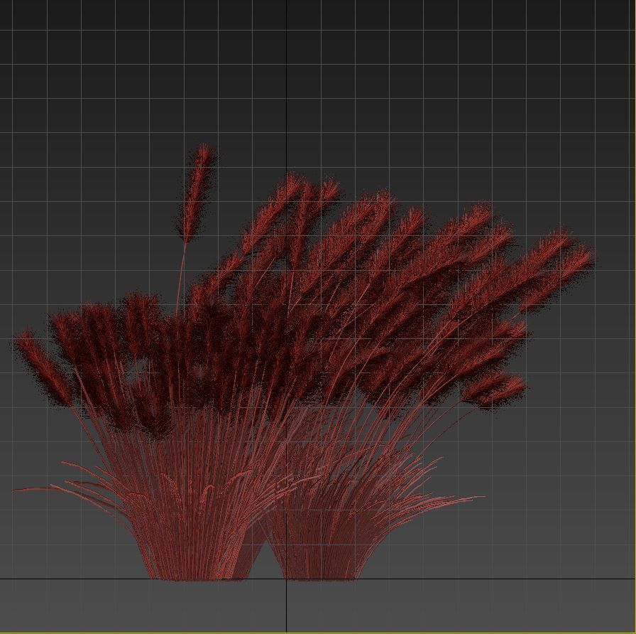 Cortaderia 3D model_8