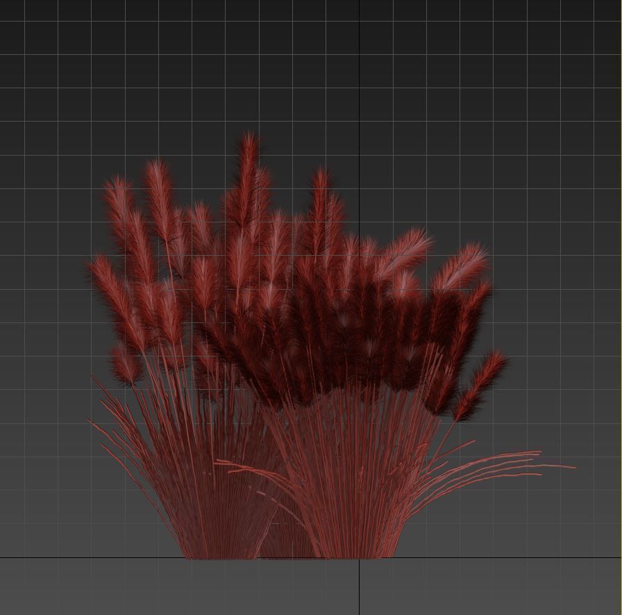 Cortaderia 3D model_10