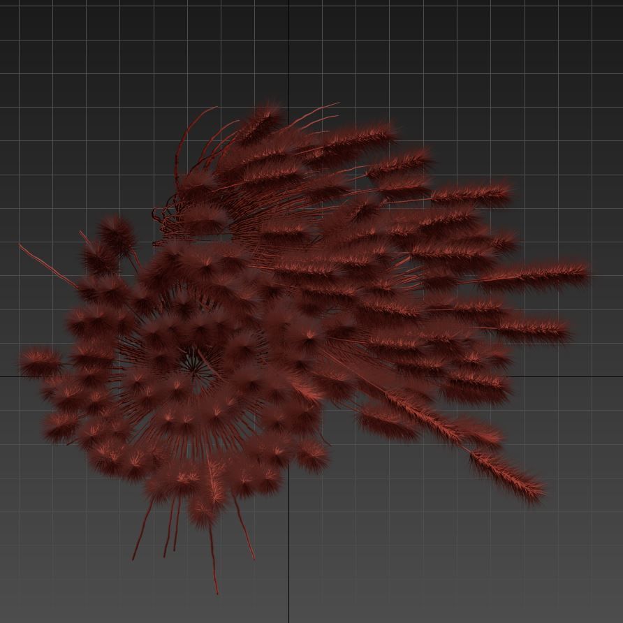 Cortaderia 3D model_7