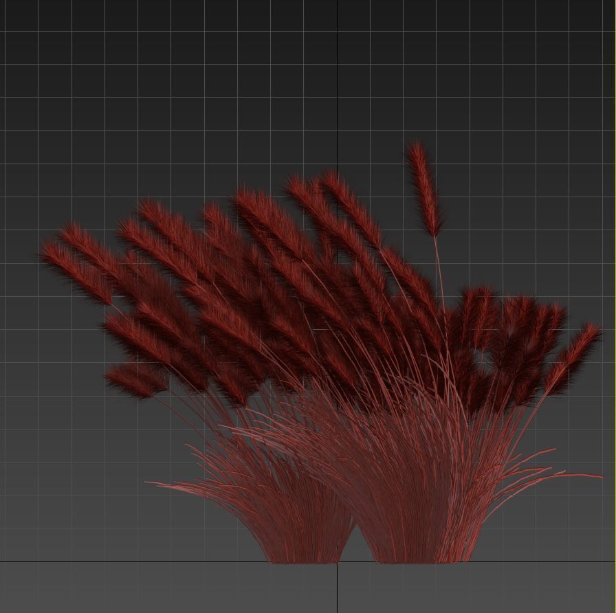 Cortaderia 3D model_9
