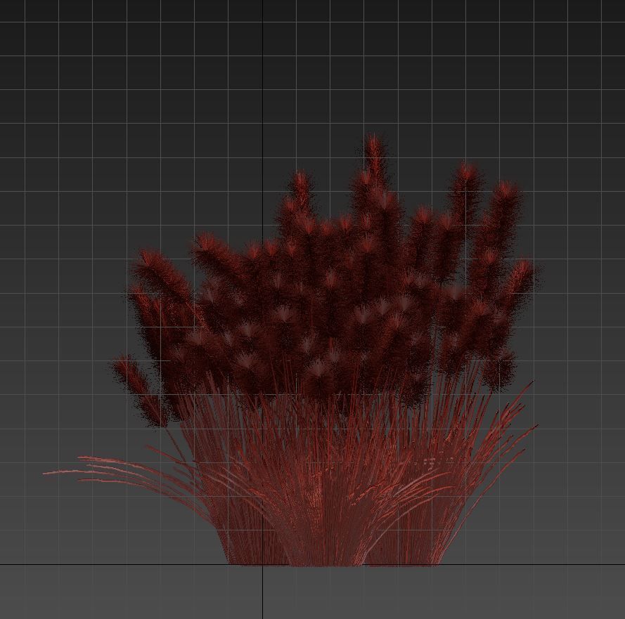 Cortaderia 3D model_11