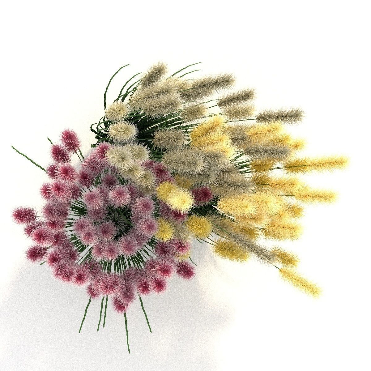 Cortaderia 3D model_6