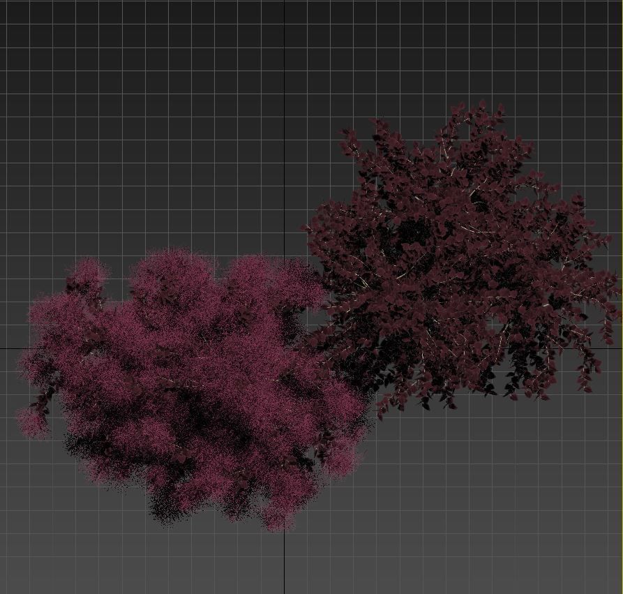 European Smoketree kollection 3D model_8