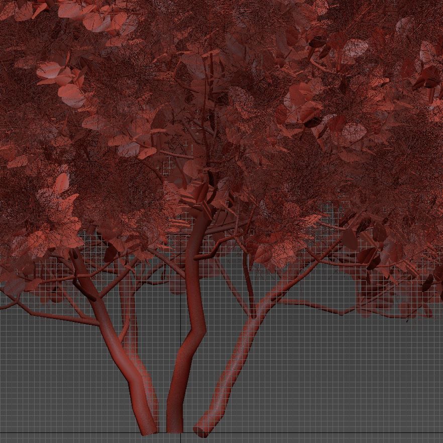 European Smoketree kollection 3D model_12