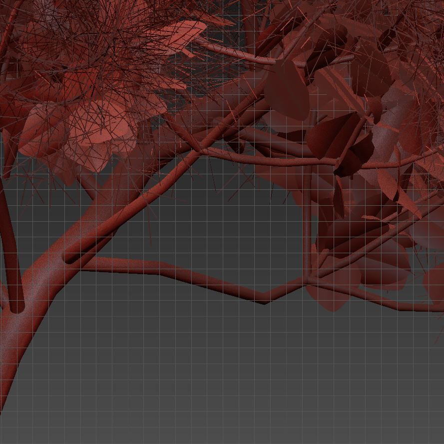 European Smoketree kollection 3D model_13
