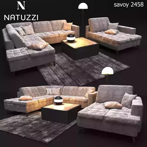 Sofa NATUZZI Sawoy 2458 3D model