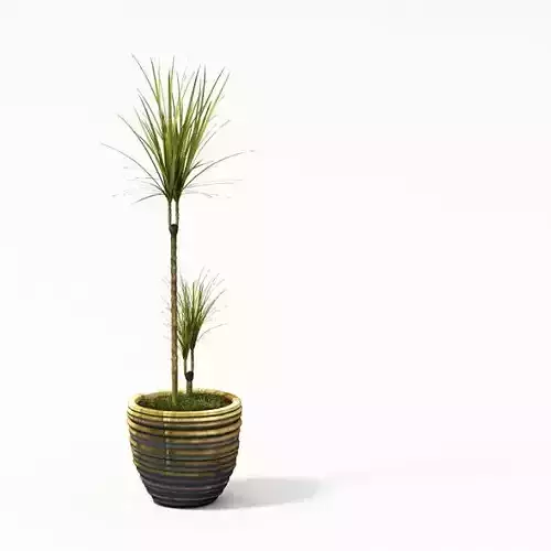 Plant 24 AM24 3D model