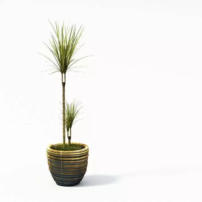 Plant 24 AM24 3D model_0