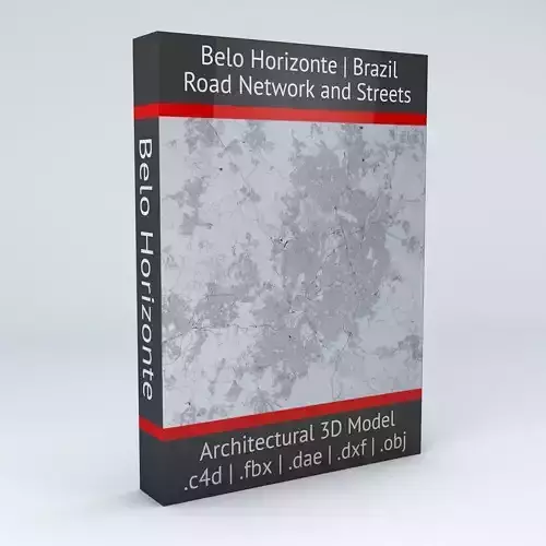 Belo Horizonte Road Network and Streets 3D model