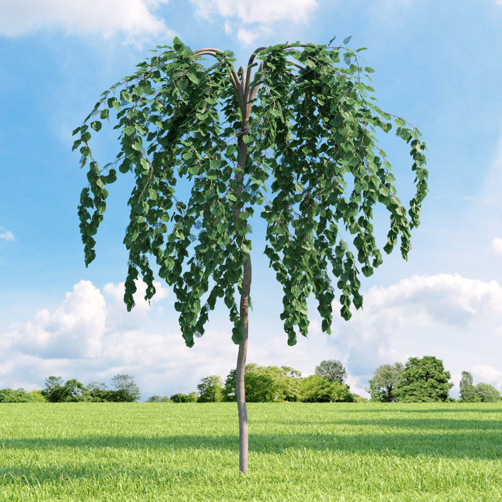 Archmodels vol 136 - high quality trees models 3D model_31