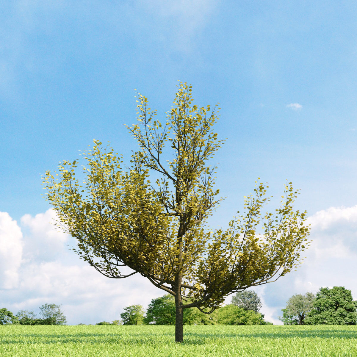 Archmodels vol 136 - high quality trees models 3D model_5