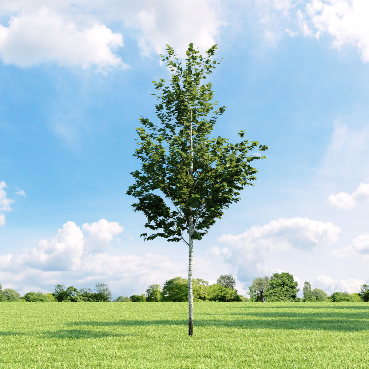 Archmodels vol 136 - high quality trees models 3D model_24