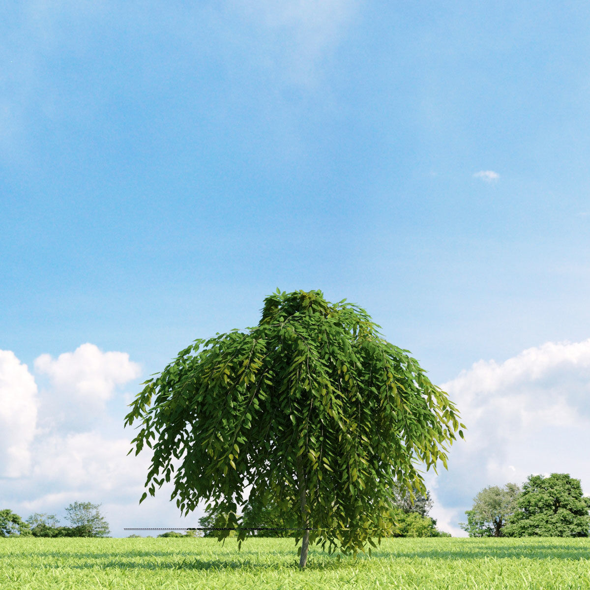 Archmodels vol 136 - high quality trees models 3D model_33