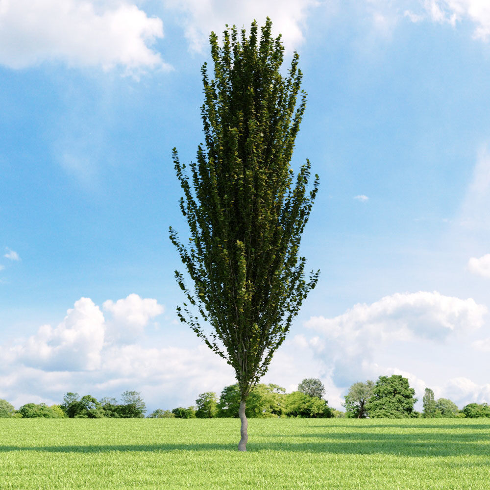Archmodels vol 136 - high quality trees models 3D model_80
