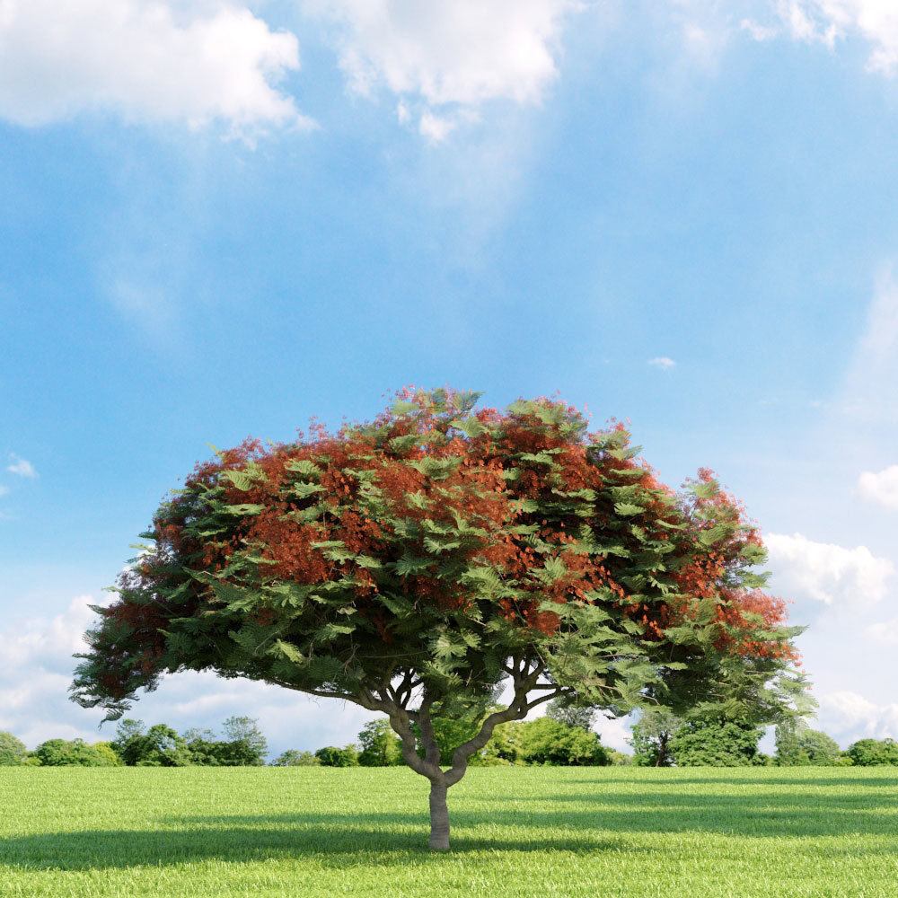 Archmodels vol 136 - high quality trees models 3D model_66
