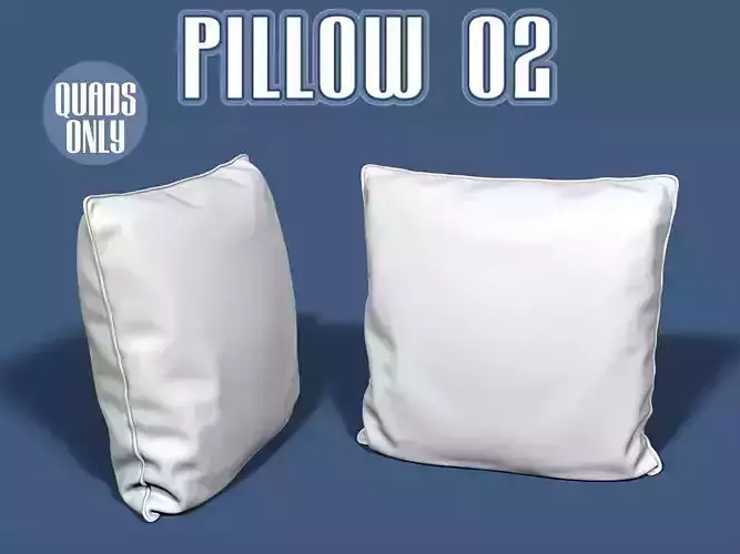Pillow 02