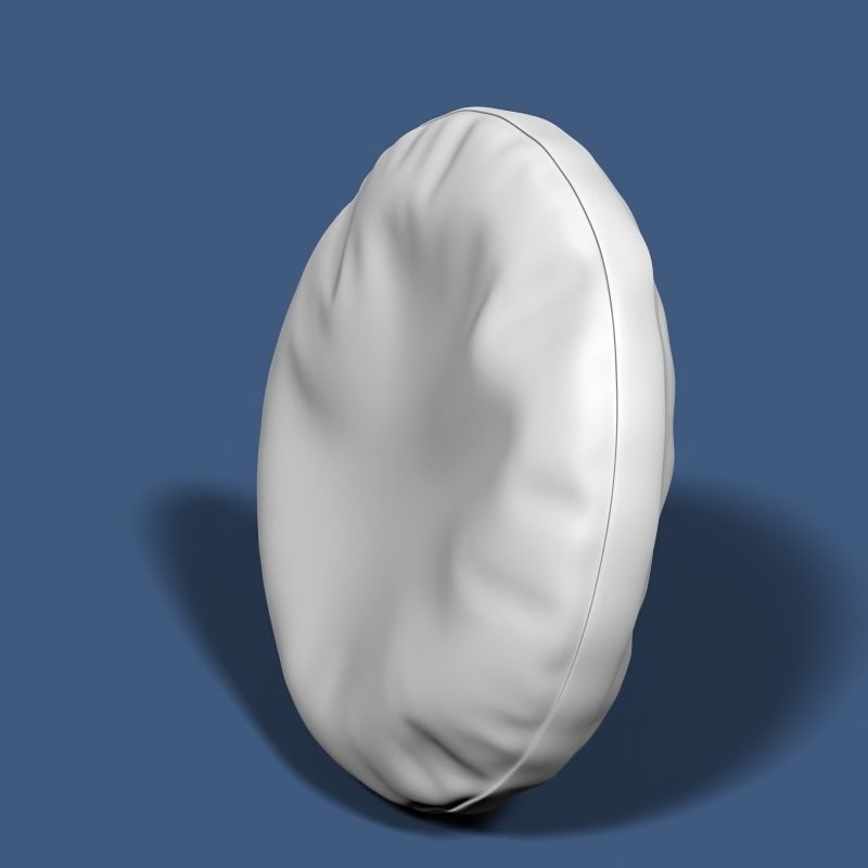 Pillow 04 3D model_6