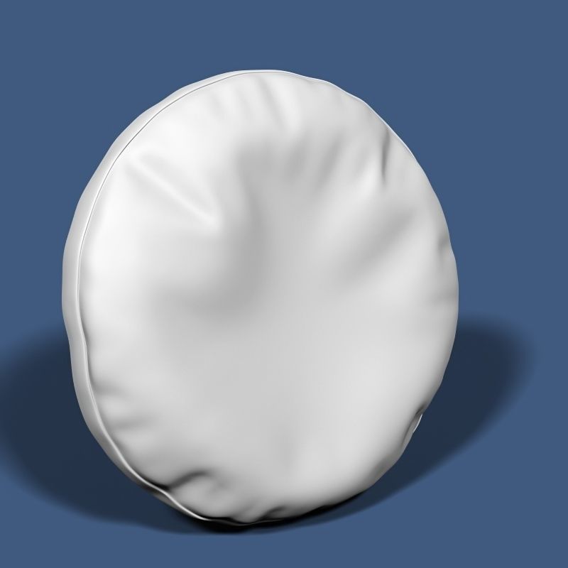 Pillow 04 3D model_2