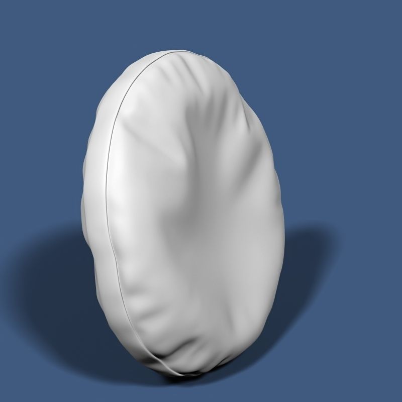 Pillow 04 3D model_1