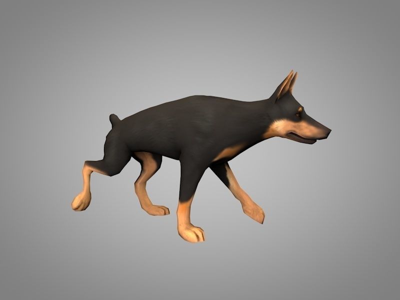 Doberman pinscher Low-poly 3D model_4