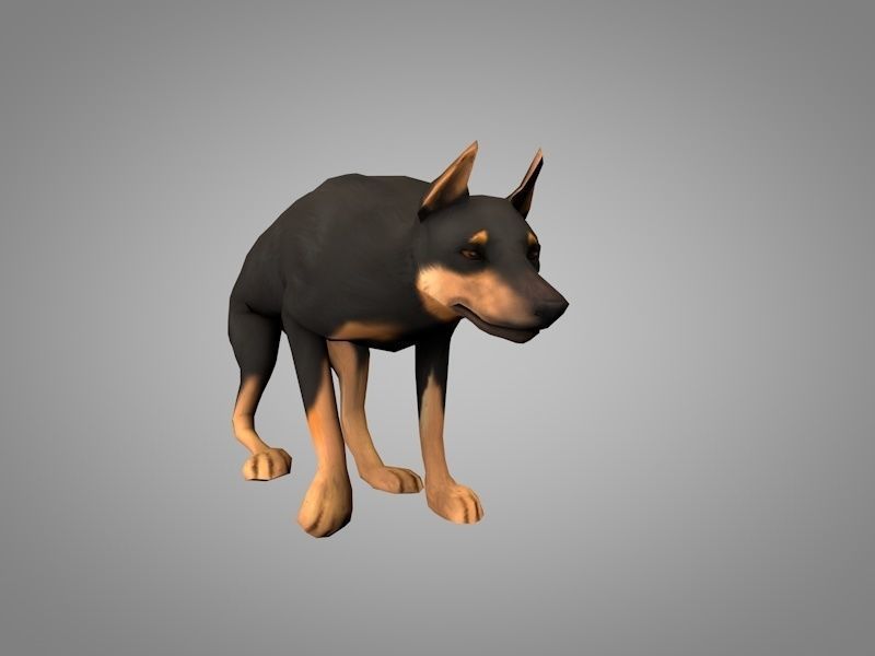 Doberman pinscher Low-poly 3D model_5