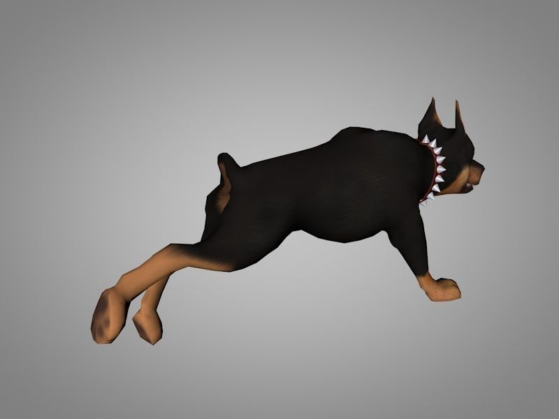 Doberman pinscher Low-poly 3D model_13