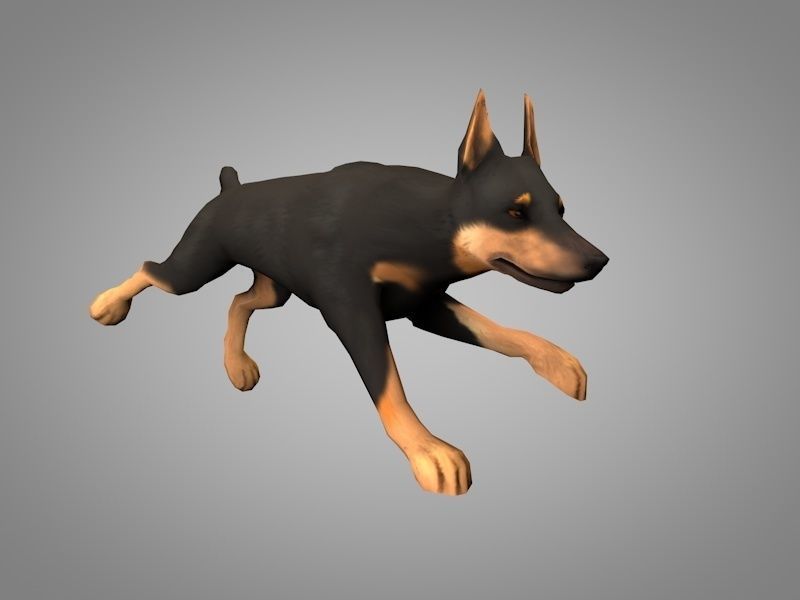 Doberman pinscher Low-poly 3D model_6