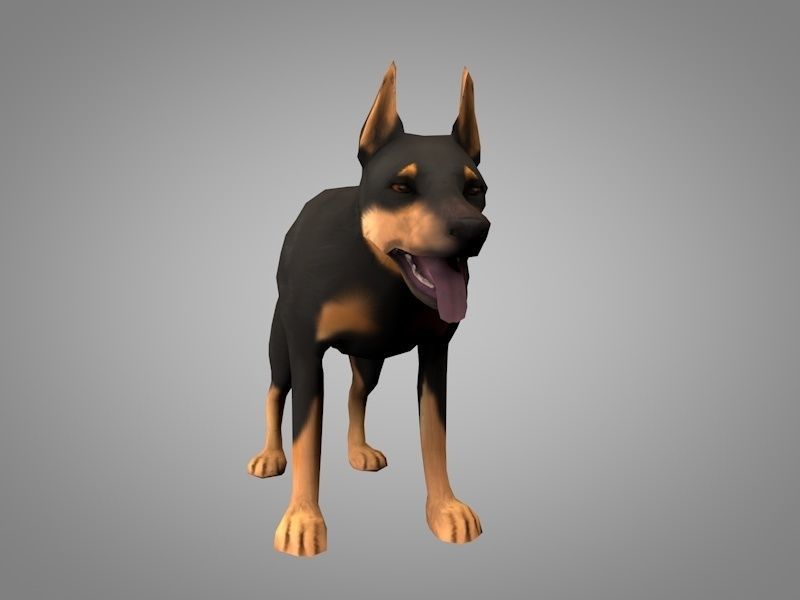 Doberman pinscher Low-poly 3D model_8