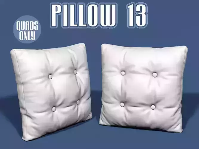Pillow 13