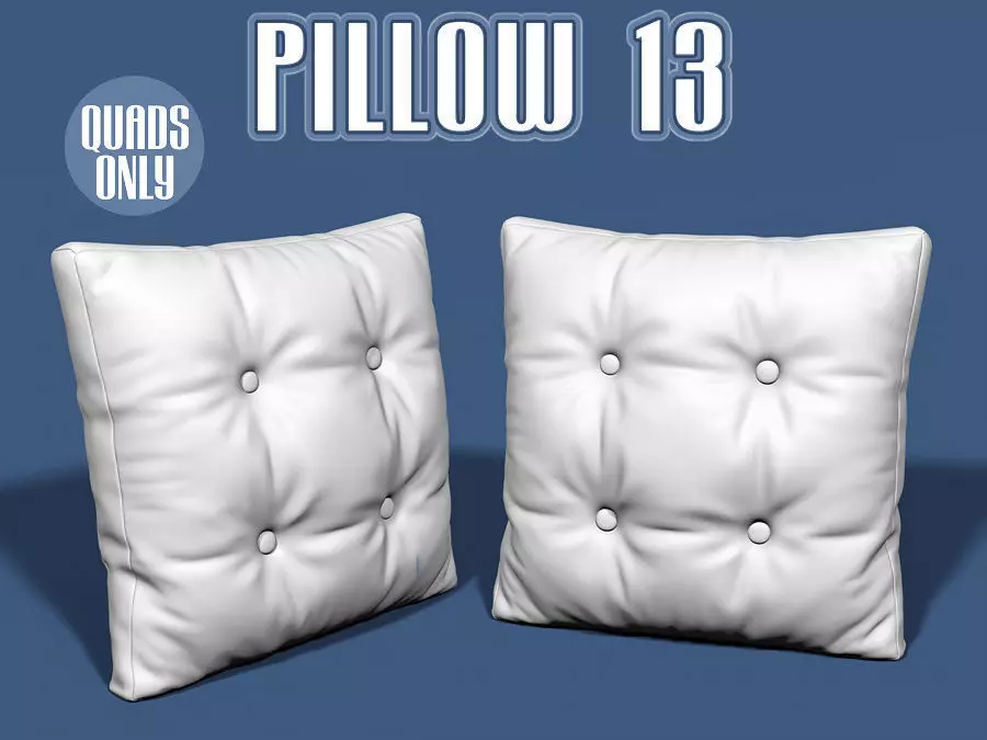 Pillow 13 3D model_0