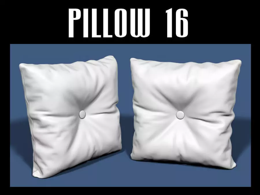 Pillow 16 3D model_0