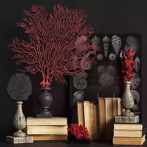 Coral Set 2 vases and plants